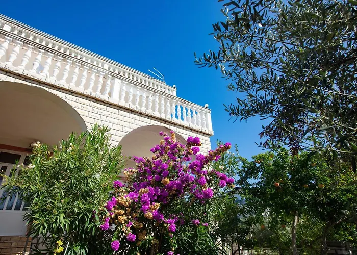 アパート 6447c *